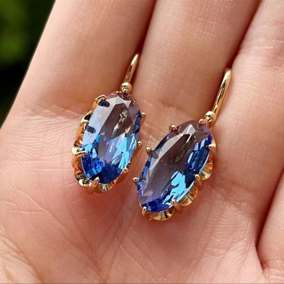 Tres Chic Blue n White Stone Earrings main image 0